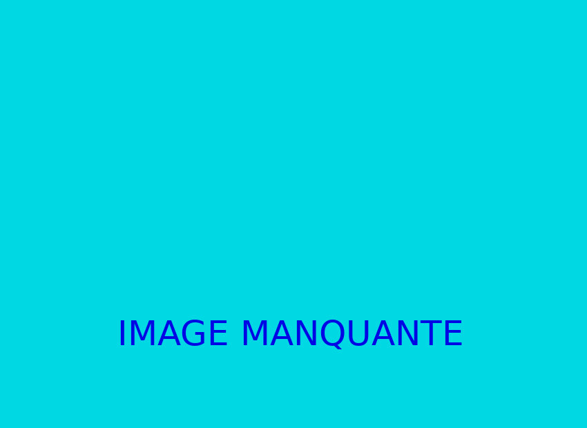 image du titre AUTRE PART