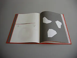 image du titre L'IMAGE SANS QUALITÉ