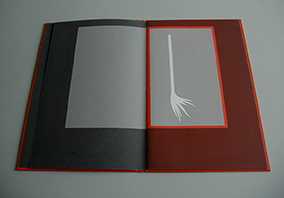 image du titre ROCAILLE ASTRALE