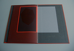 image du titre ROCAILLE ASTRALE