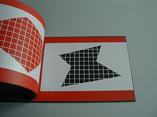image du titre , FUGITIVE.