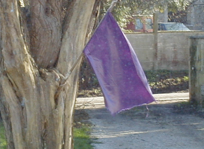 image du titre ENCHAINEMENT