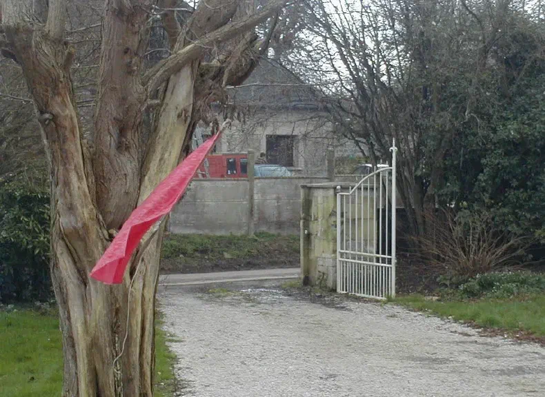 image du titre SILENTIAIRE