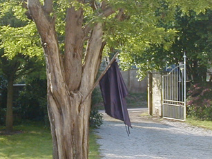 image du titre MANIFESTE