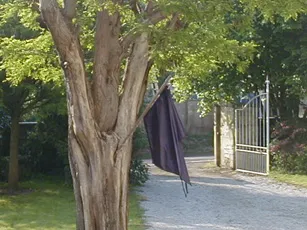 image du titre MANIFESTE
