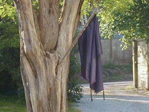 image du titre MANIFESTE