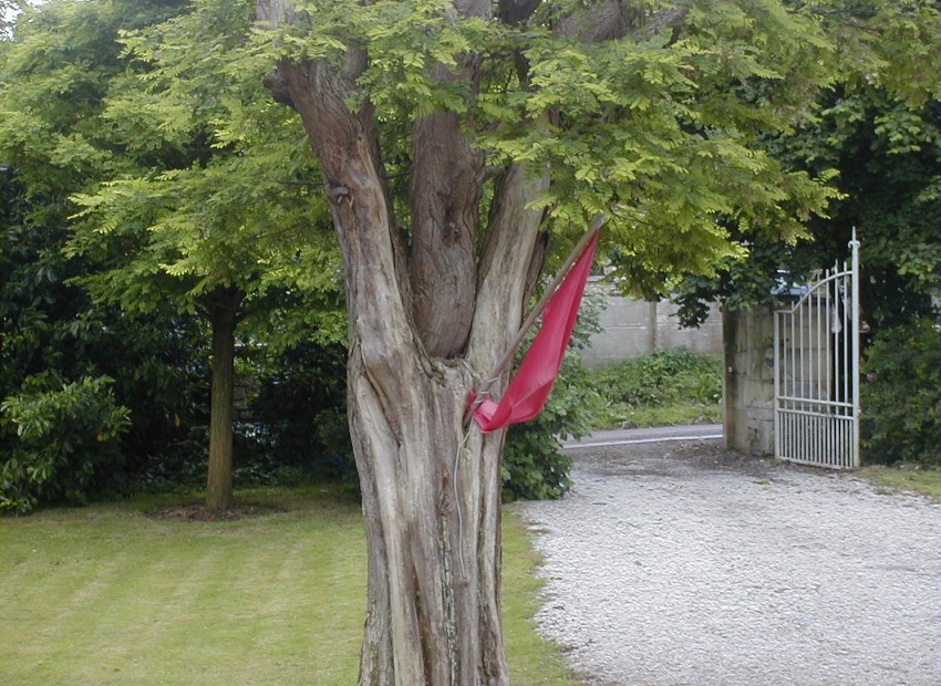 image du titre AMOINDRI