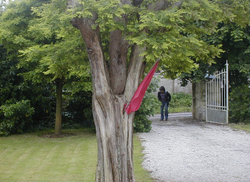 image du titre AMOINDRI