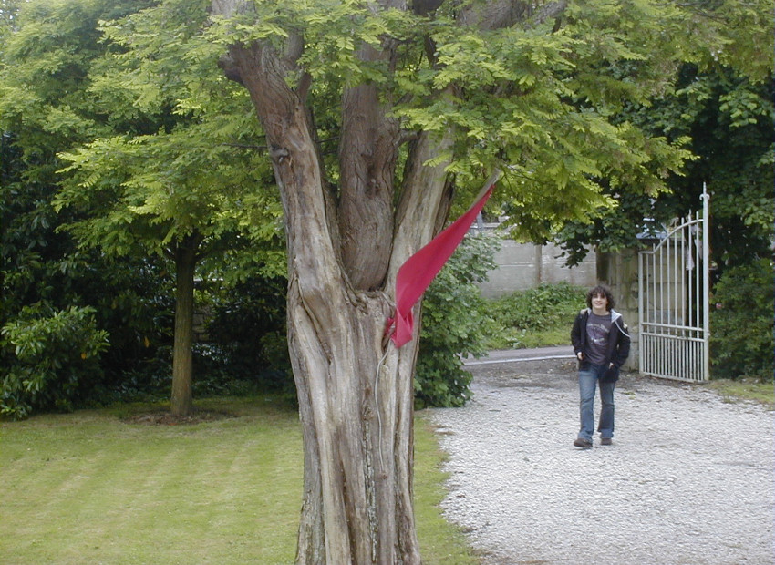 image du titre AMOINDRI