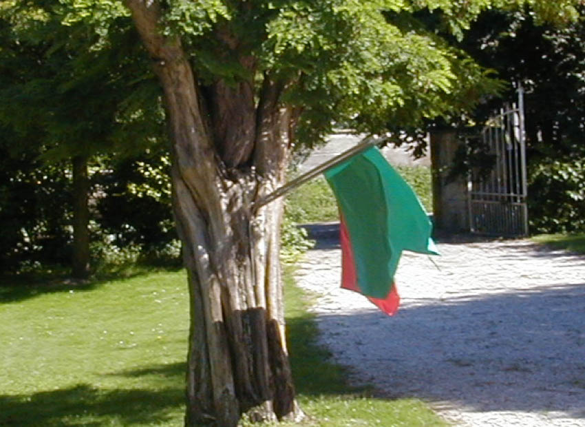 image du titre VERSUS