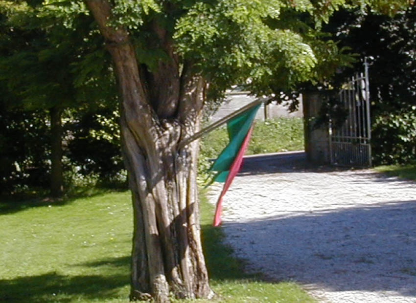 image du titre VERSUS