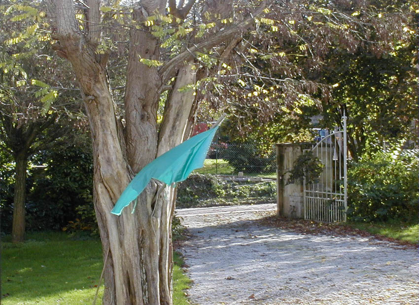 image du titre OMBRES FIGURALES
