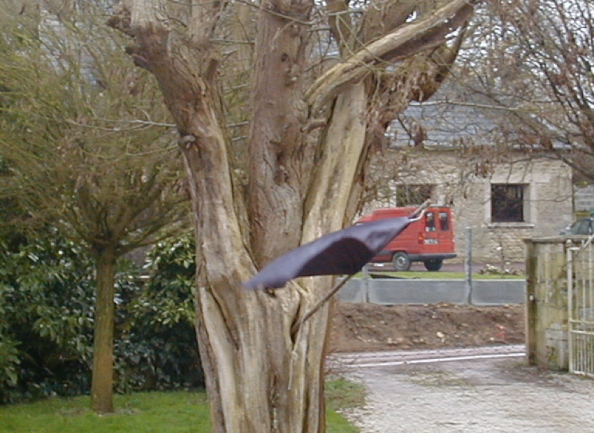 image du titre 1.