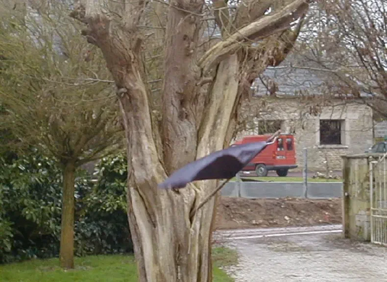 image du titre 1.