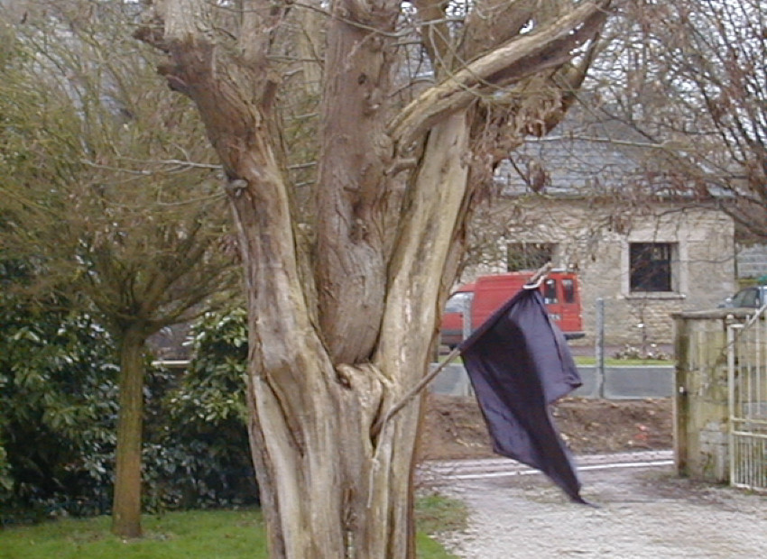 image du titre 1.