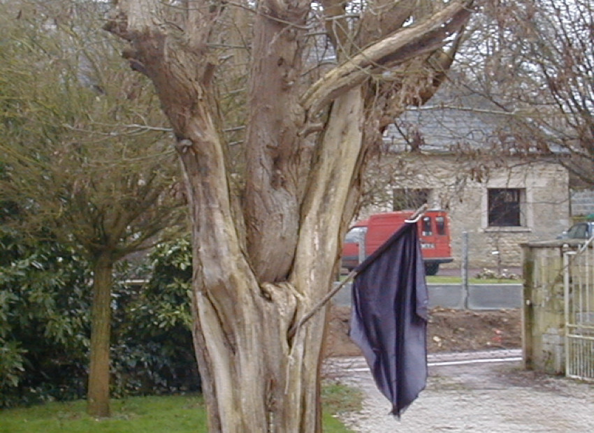 image du titre 1.