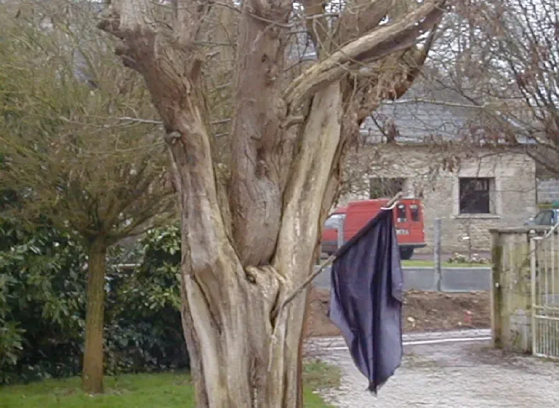 image du titre 1.