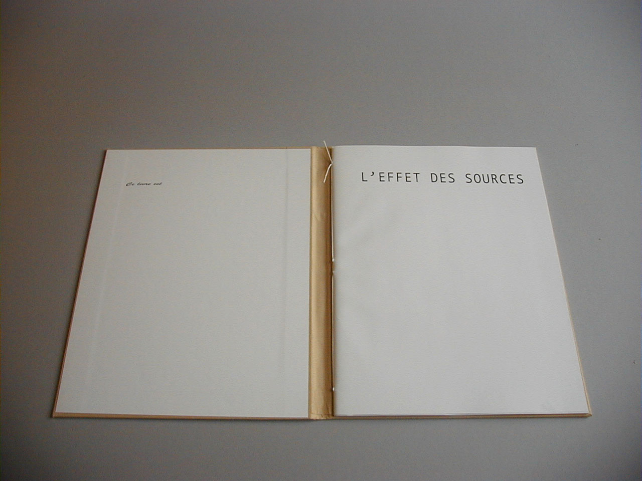 image du titre L'EFFET DES SOURCES