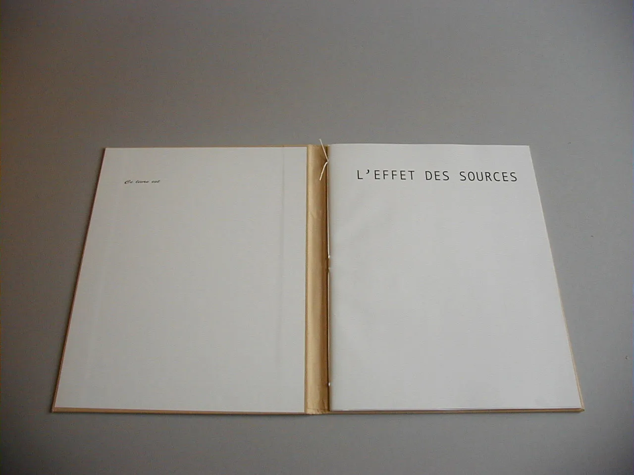 image du titre L'EFFET DES SOURCES