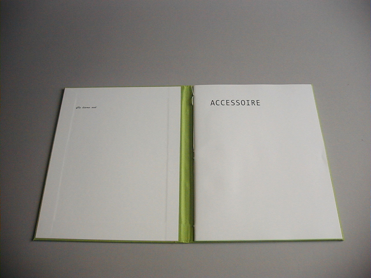 image du titre ACCESSOIRE