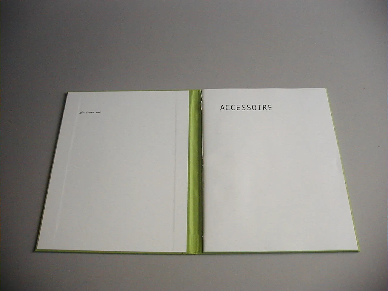 image du titre ACCESSOIRE