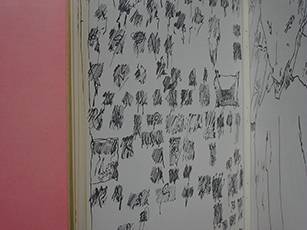 image du titre [LIVRE ROSE]