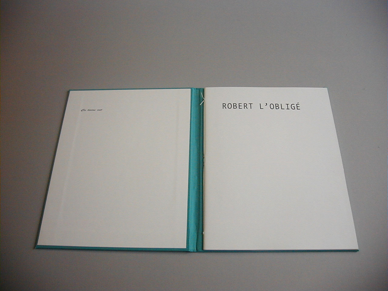 image du titre ROBERT L'OBLIGÉ