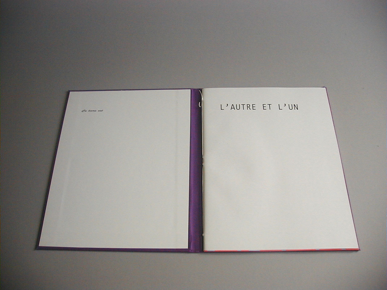 image du titre L'AUTRE ET L'UN