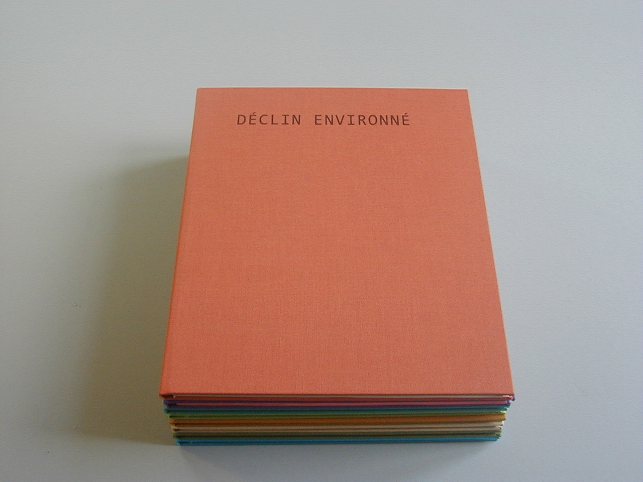 image du titre DÉCLIN ENVIRONNÉ