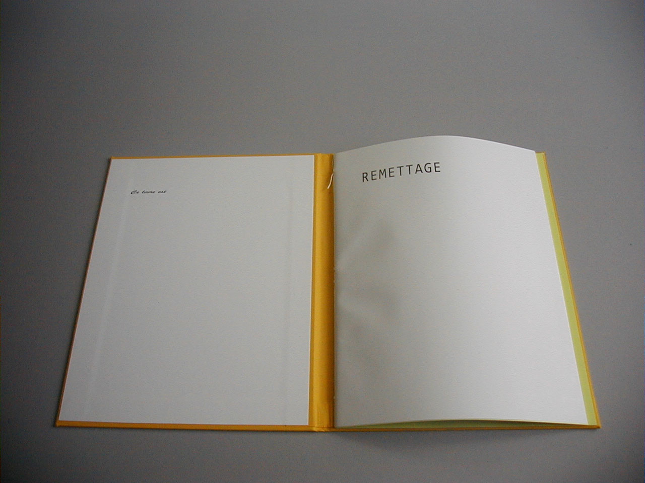 image du titre REMETTAGE