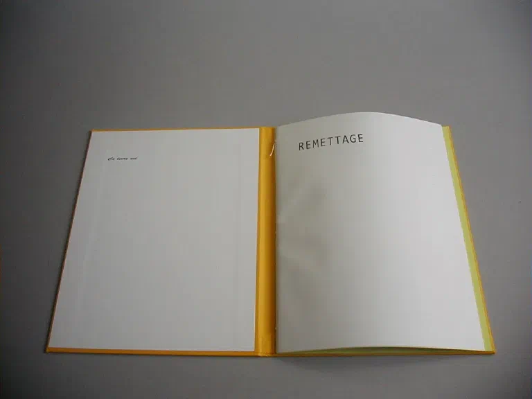 image du titre REMETTAGE