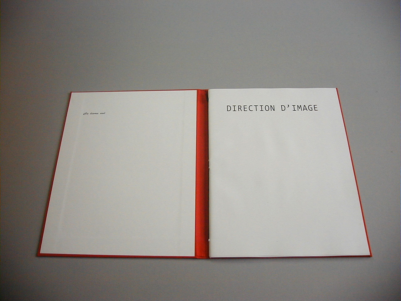 image du titre DIRECTION D'IMAGE