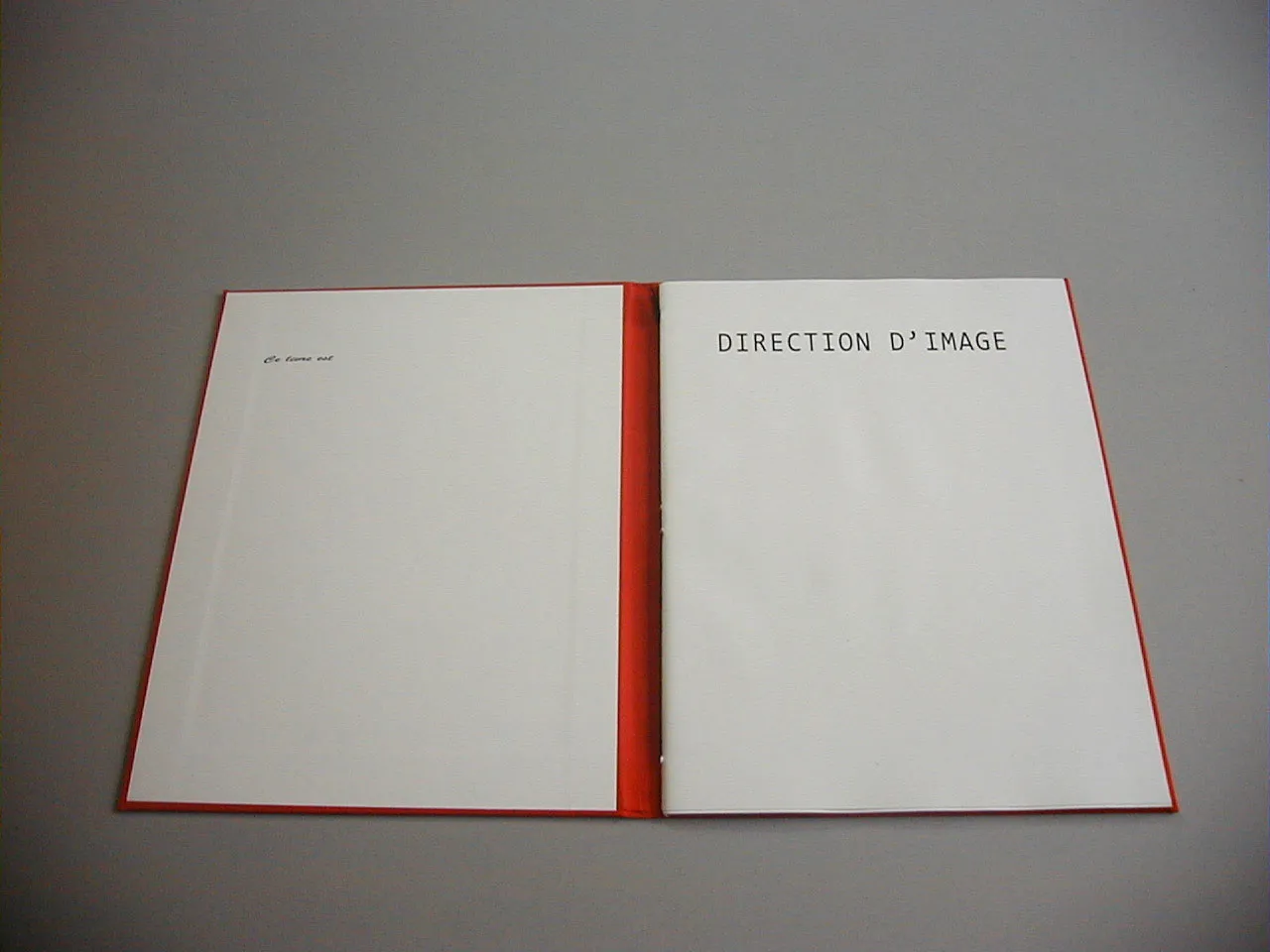 image du titre DIRECTION D'IMAGE