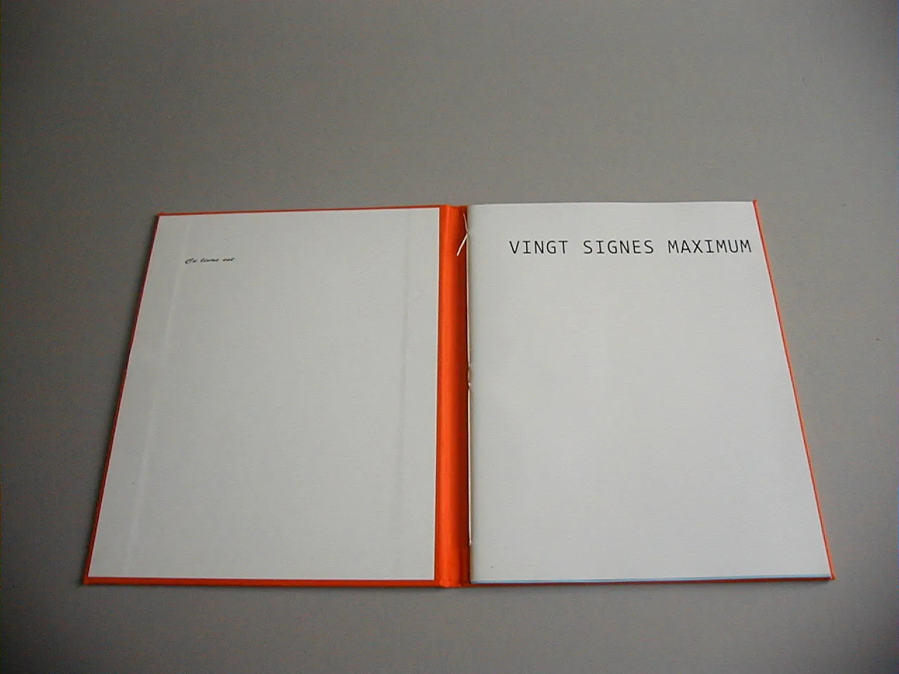 image du titre VINGT SIGNES MAXIMUM