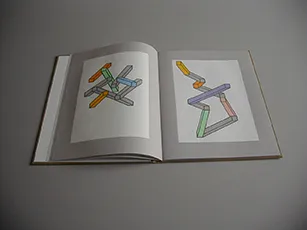 image du titre ISSUE