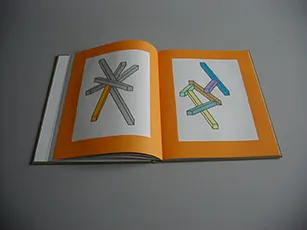 image du titre ISSUE