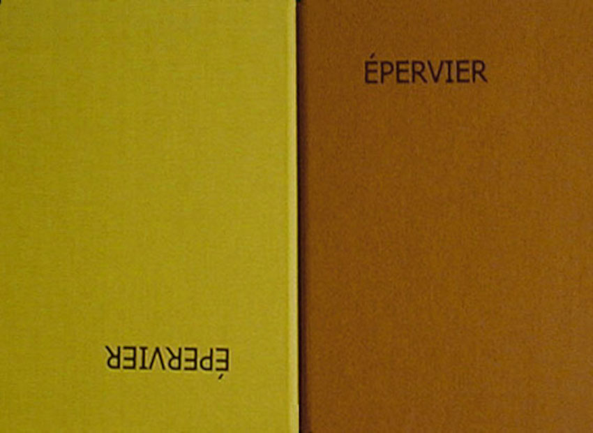 image du titre ÉPERVIER