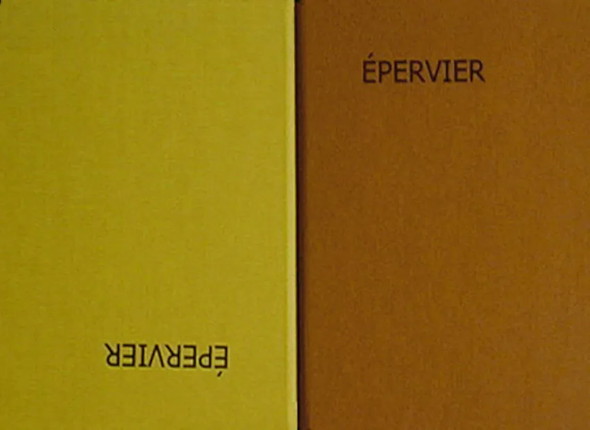 image du titre ÉPERVIER