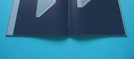 image,livre LA CHOSE à l'endroit