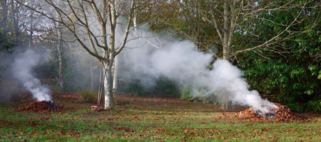 deux tas de feuilles mortes en feu