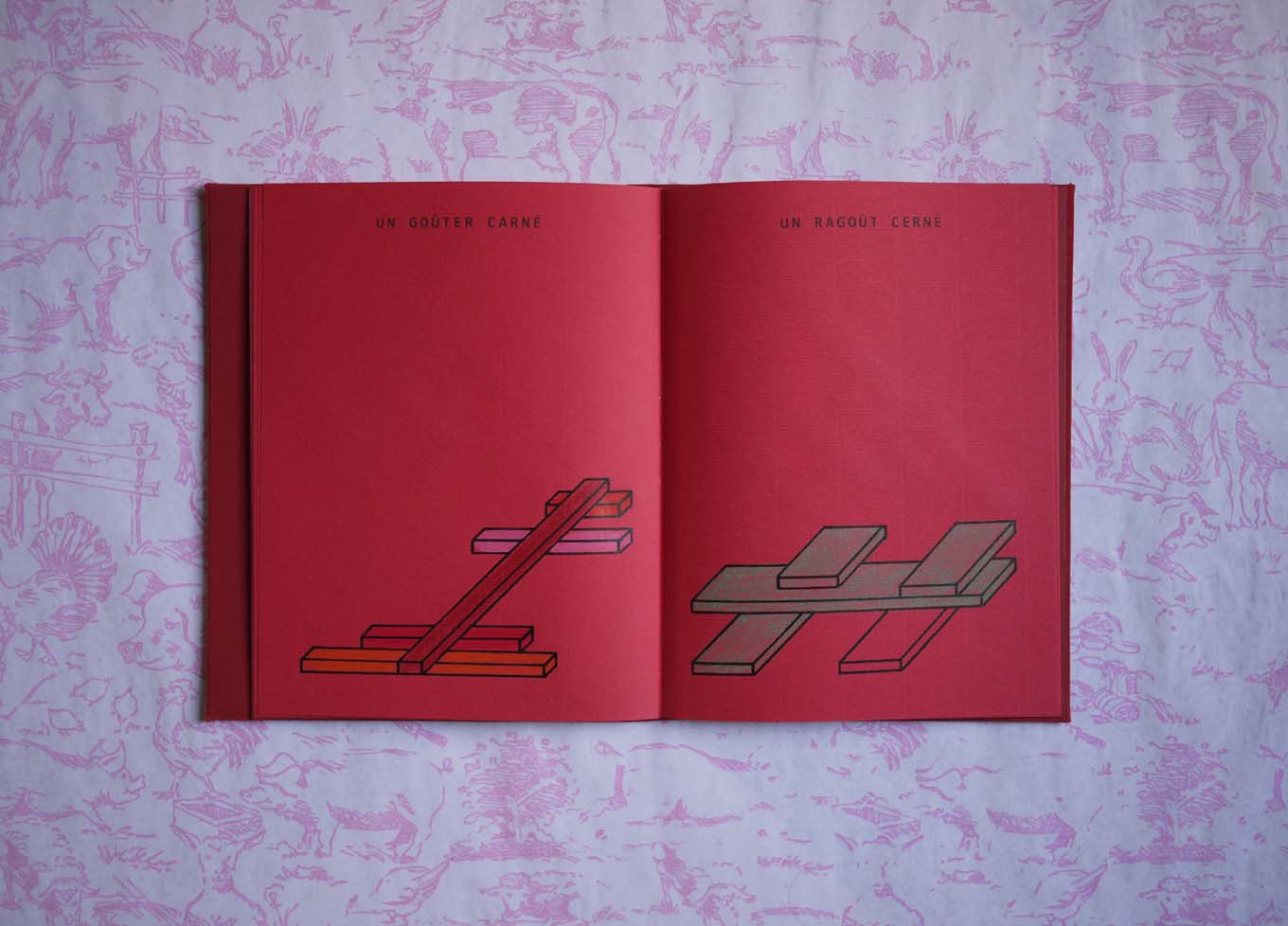 image du titre UN CARNET ROUGE