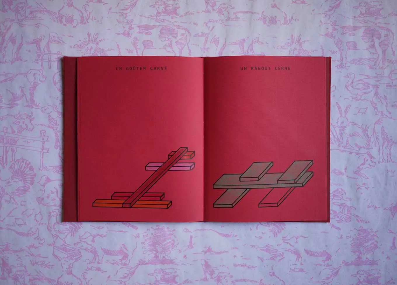 image du titre UN CARNET ROUGE