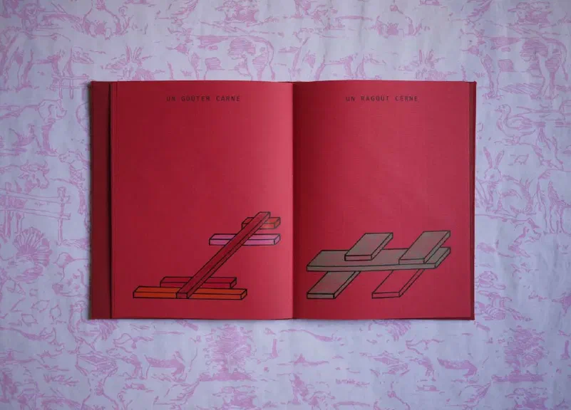 image du titre UN CARNET ROUGE