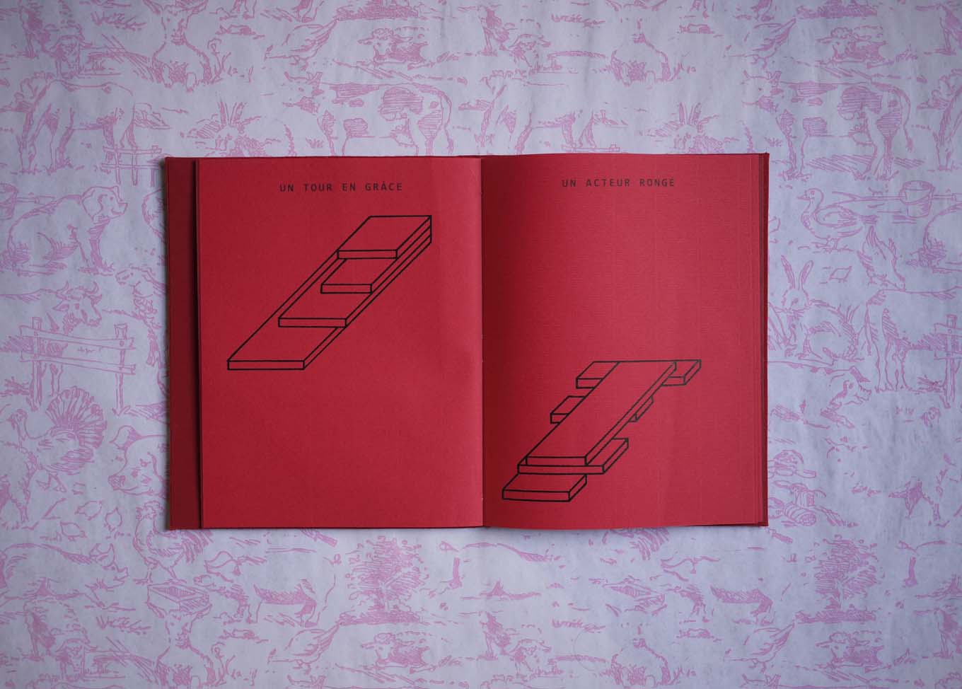 image du titre UN CARNET ROUGE