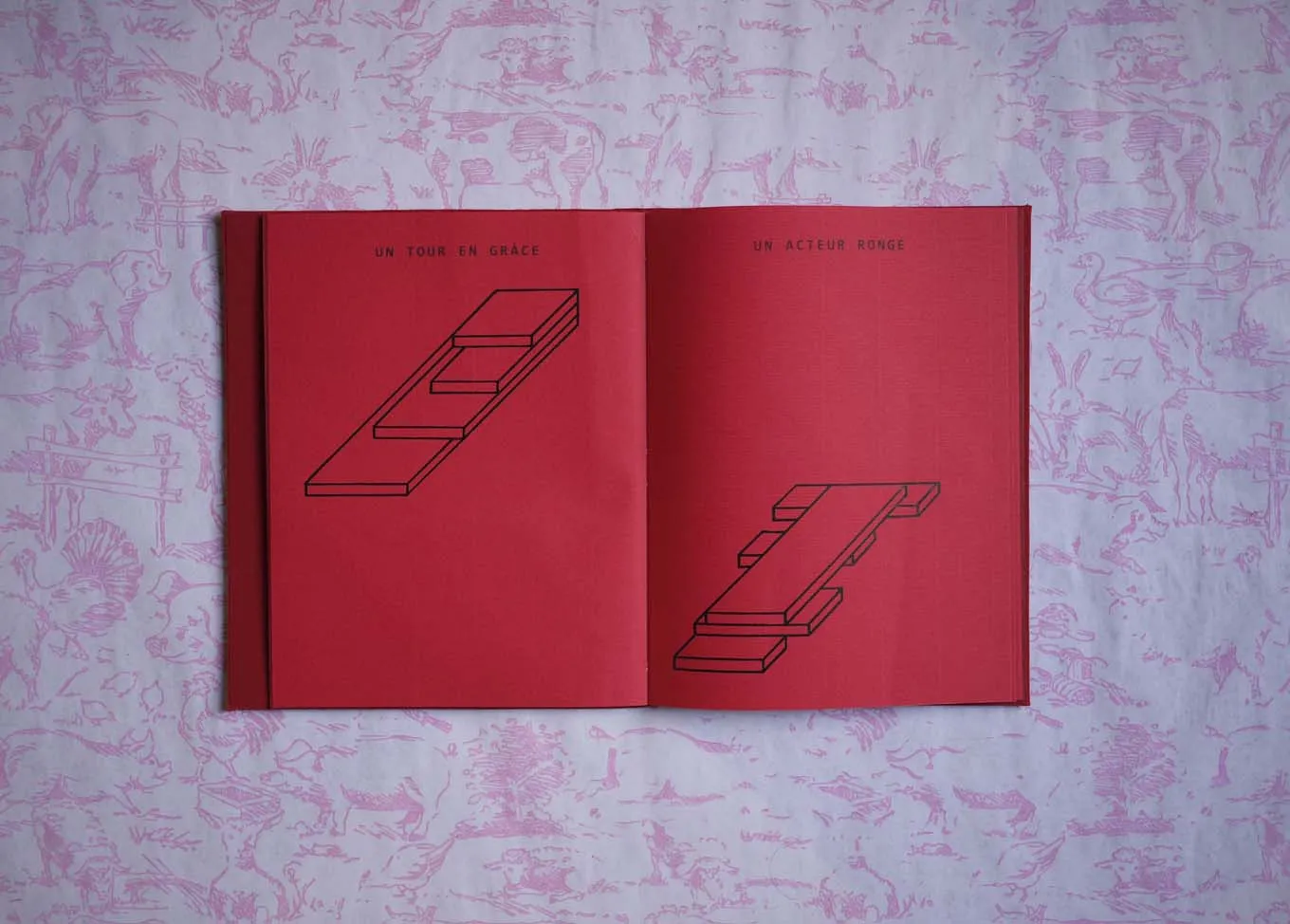 image du titre UN CARNET ROUGE