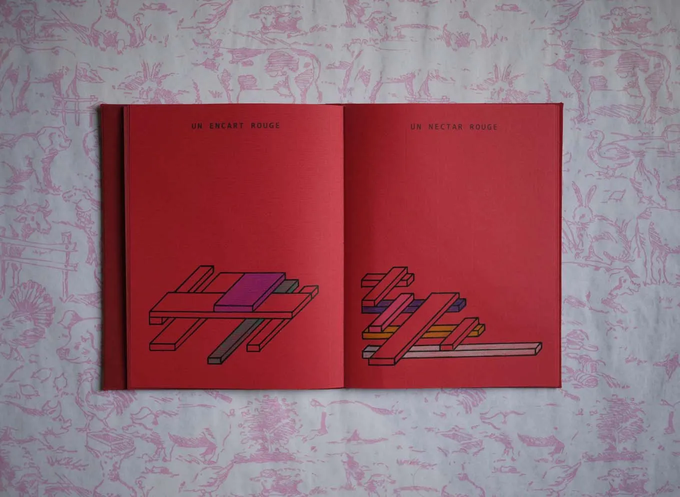 image du titre UN CARNET ROUGE