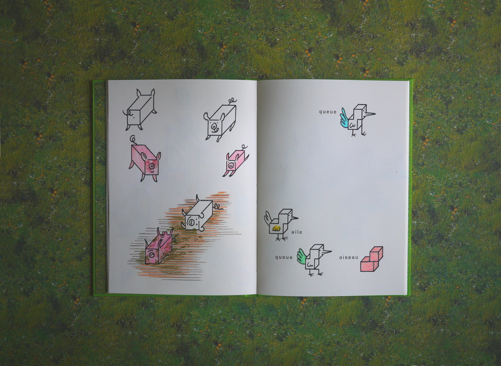 image du titre DES ANIMAUX À LA CAMPAGNE