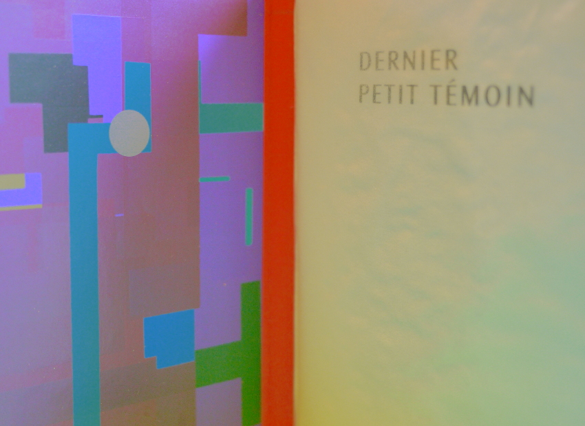 image du titre DERNIER PETIT TÉMOIN