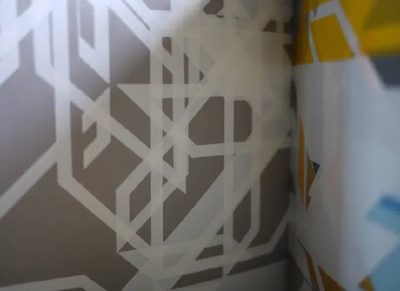 image du titre OMBRE DE FÉVRIER