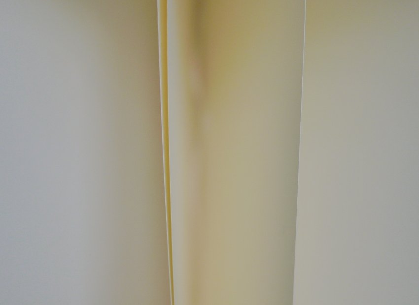 image du titre UNE OMBRE D’EXCUSE